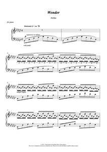 'Wonder' - Piano Sheet Music - (Arelius Piano Solo)